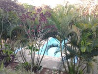 /album/galeria-de-fotos-recanto-maia/a20141029-183207-jpg/