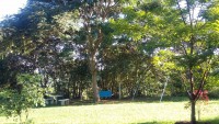 /album/galeria-de-fotos-recanto-maia/a20160212-083728-jpg/